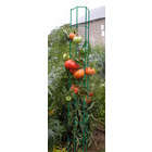 Colonne tomate : 180cm